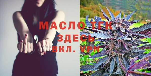СК Богородск