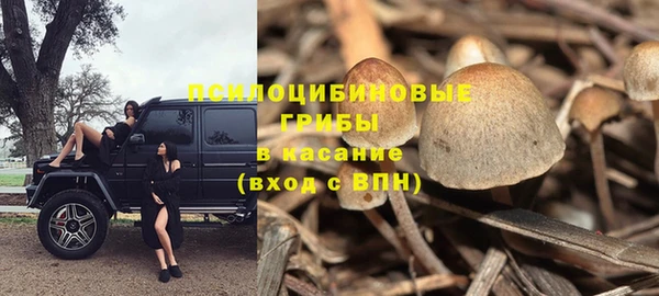 ECSTASY Бородино