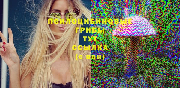 СК Богородск