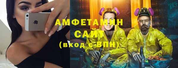 ECSTASY Бородино