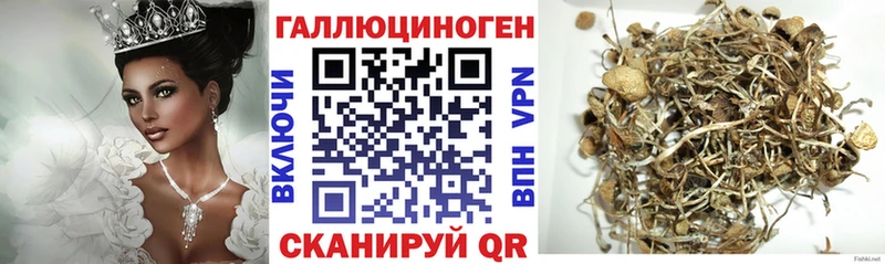 MEGA ТОР  Городовиковск  Псилоцибиновые грибы Psilocybe 